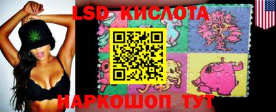прущие грибы Комсомольск-на-Амуре