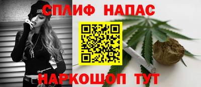 прущие грибы Комсомольск-на-Амуре