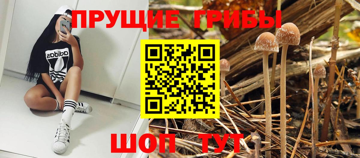Псилоцибиновые грибы прущие грибы Краснокаменск